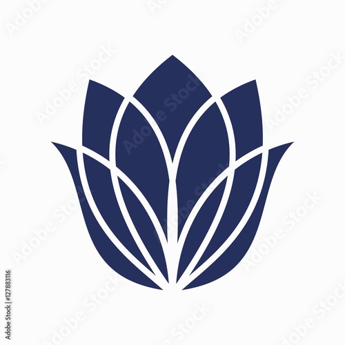 Tulip logo design, tulip vector, tuli design