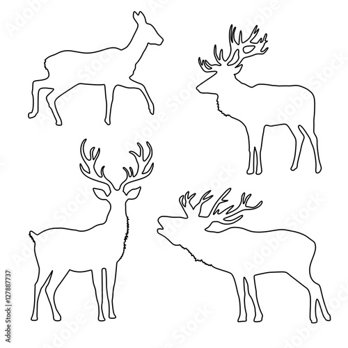 Hirsch Hirsche Rotwild Geweih Set Vektor Umriss Silhouette - Ausmalbild Schattenriss natürlich realistisch