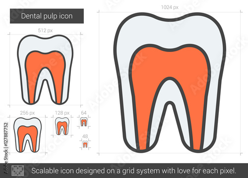 Dental pulp line icon.