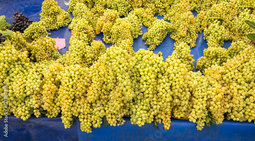 Obraz na plátně Grapes on stand