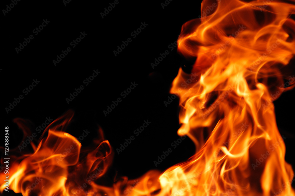 burning fire flame on the black background burning fire flame on the black background