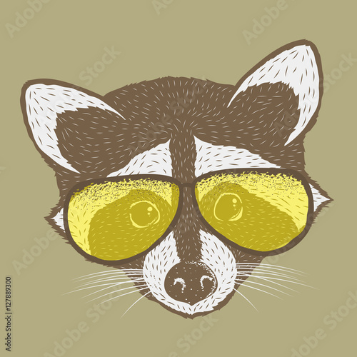 Raccoon vector illustration