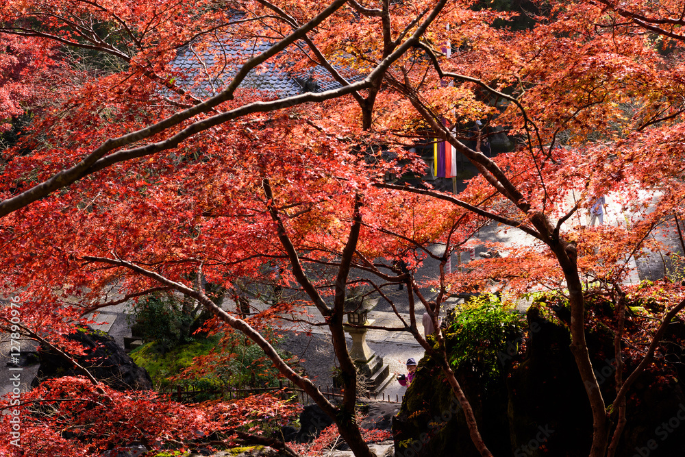 滋賀県　石山寺の紅葉