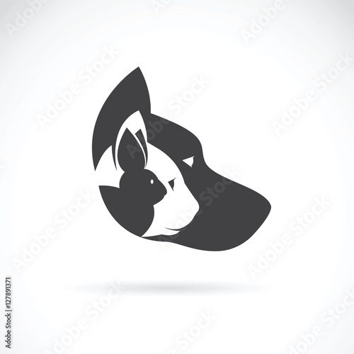 Vector image of pets design on white background. Petshop, Dog, C