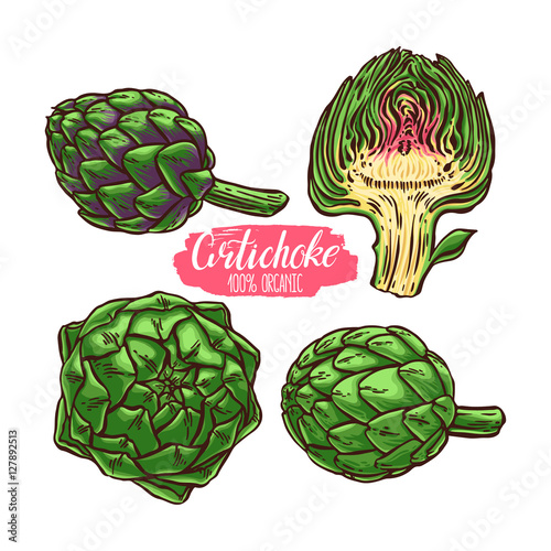 set of colorful artichokes