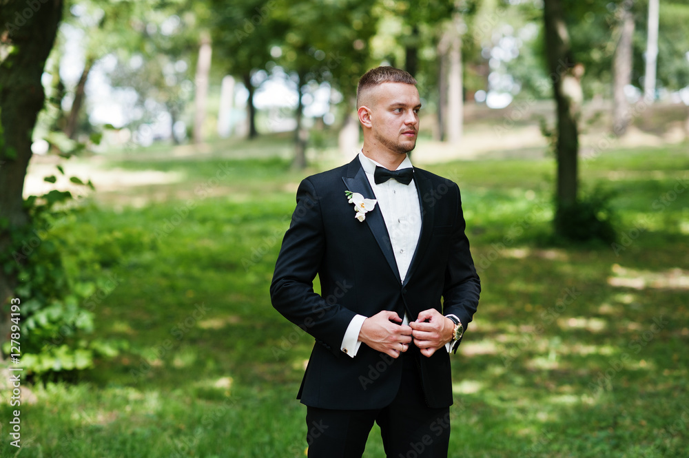 Trendy beard man groom with bow tie posed on park. Trendy beard man groom with bow tie posed on park.