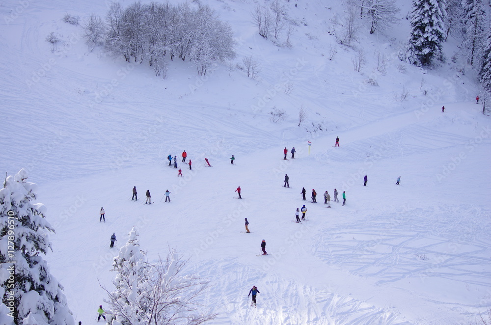 Fototapeta premium piste de ski de saint pierre de chartreuse - vue aérienne
