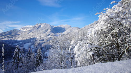 paysage hivernal - vallée des entremonts en chartreuse