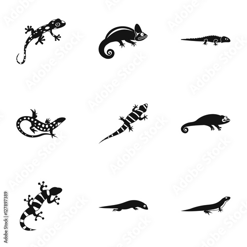 Iguana icons set. Simple illustration of 9 iguana vector icons for web