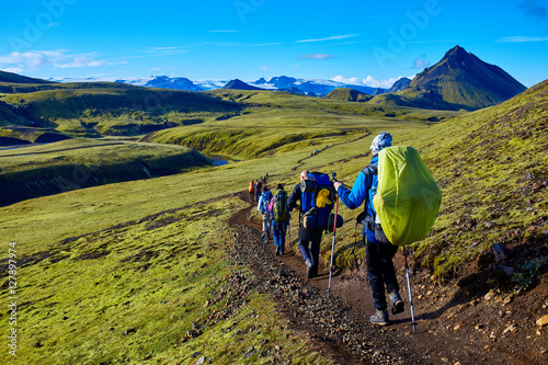 hikers on the trail in the Islandic mountains. Trek in National Park Landmannalaugar, Iceland. valley is covered with bright green moss