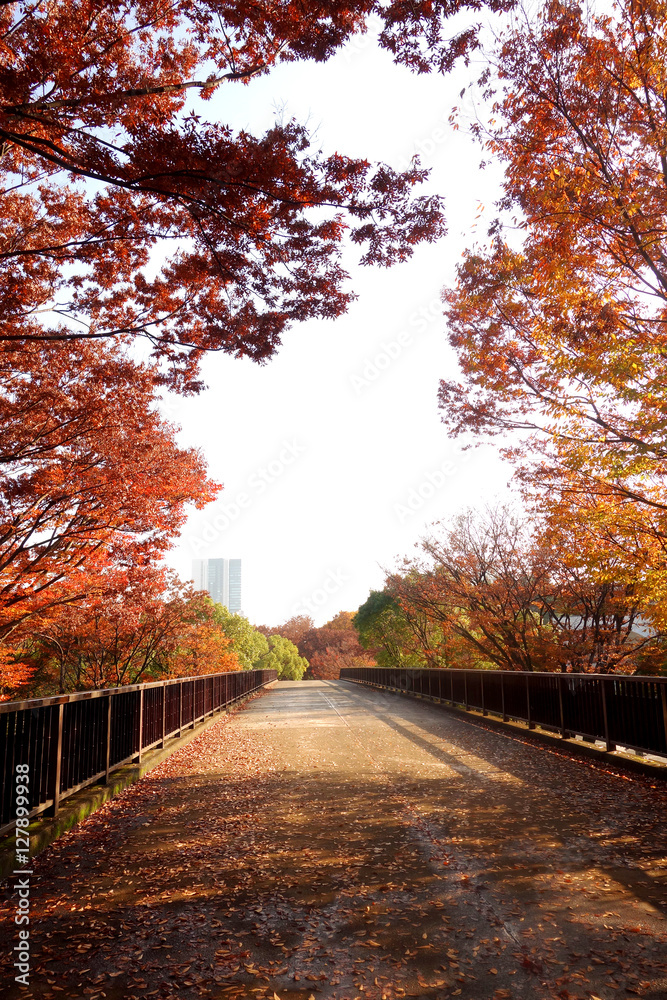 代々木公園 代々木公園