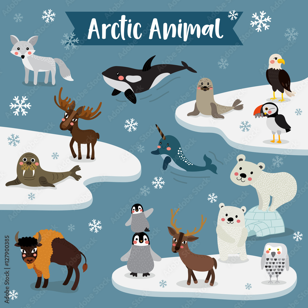 Arctic Animal cartoon. Penguin, Polar Bear, Reindeer. Walrus. Moose. Snowy  Owl. Arctic Fox. Eagle. Killer whale. Bison. Seal. Puffin. Narwhal. Vector  illustration. Stock Vector | Adobe Stock