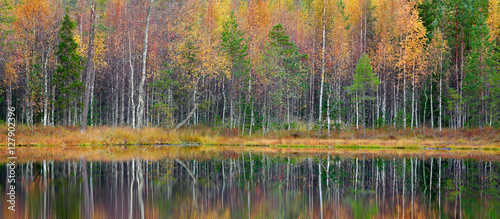 Autumn trees in the Finland forest. Green and yellow trees with reflection in the still water surface. Fall landscape with trees. Birch trees with pine trees in autumn forest and lake, Europe.