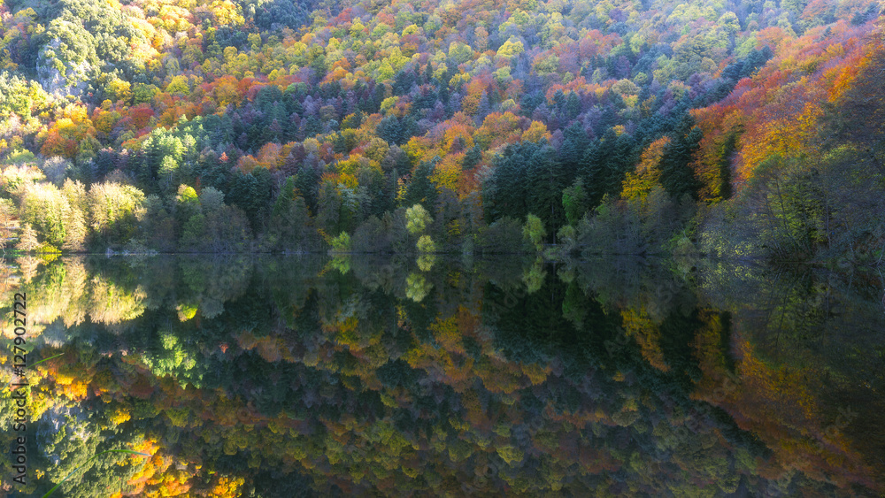 autumn forest reflection on the lake