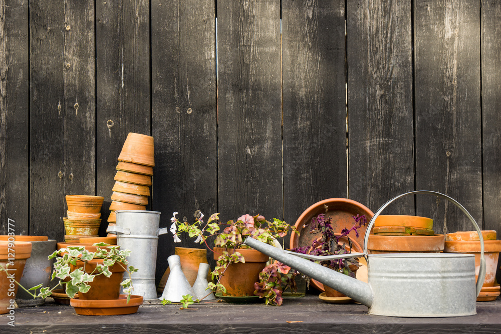 romantic idyllic plant table in the garden with old retro flower pot pots, tools and plants - obrazy, fototapety, plakaty 