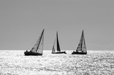 boat race on sea sunset in black and white