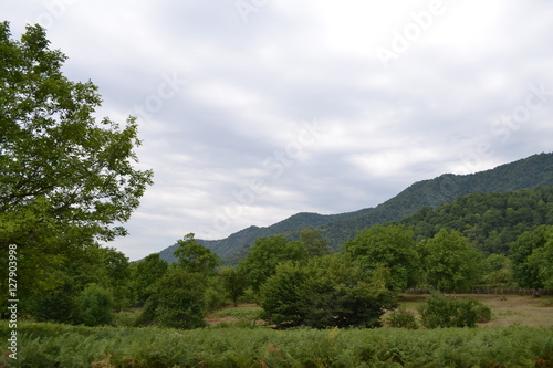 Горы и лес Габала