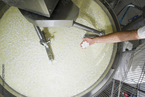 Cheesemaker controls the milk curd with the hand