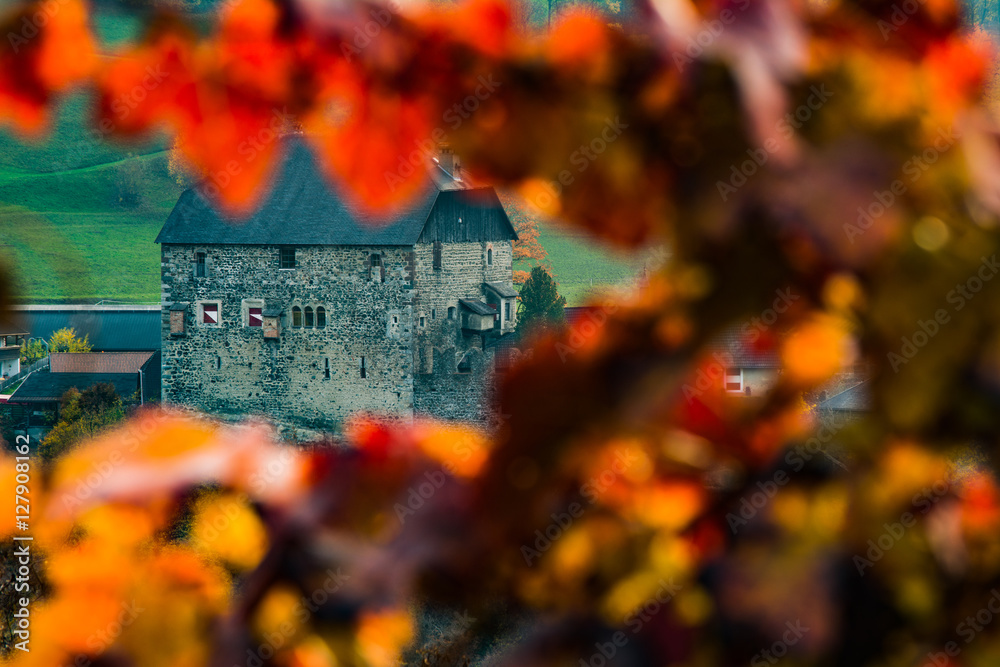 Schloss Sommersberg im Herbst StockFoto Adobe Stock