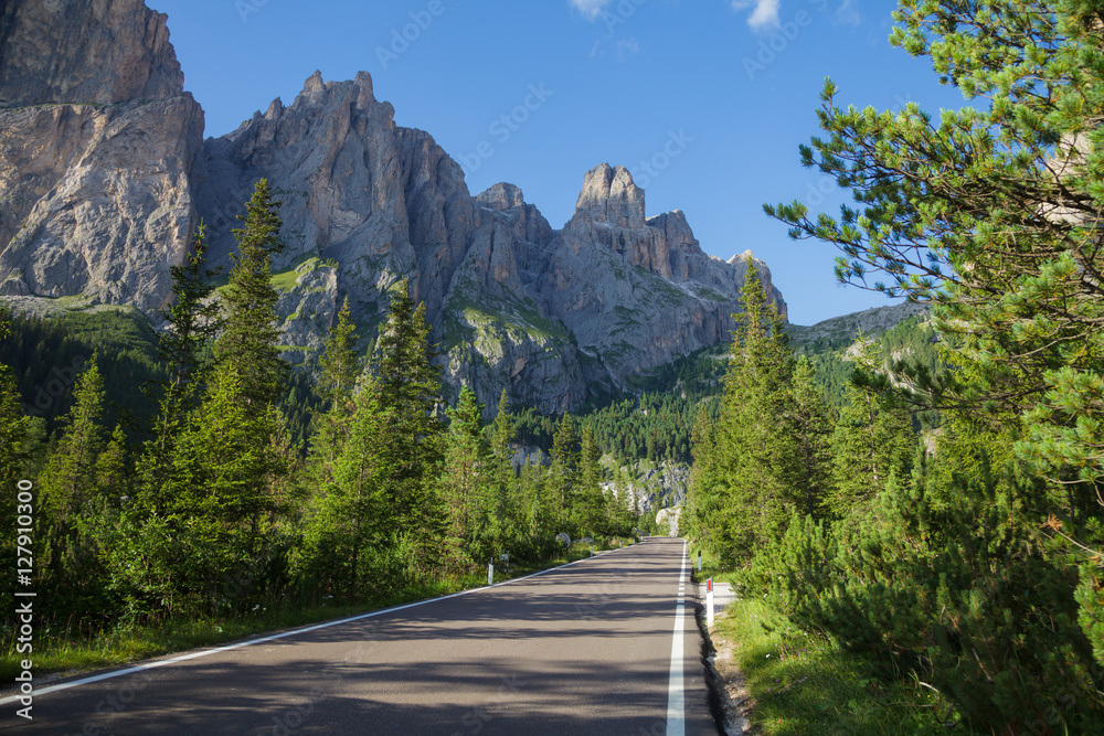 Scenic road through fir forest in Northern Italy with Dolomite Alps in background