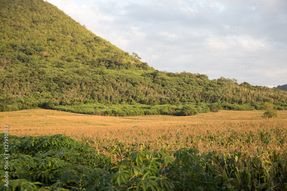 Fototapeta premium Green mountain