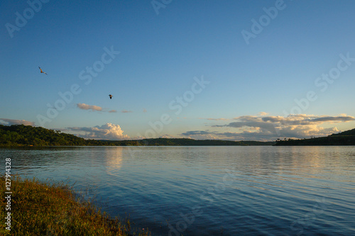 Birds flying on the lake coast in South America © gringoglueck