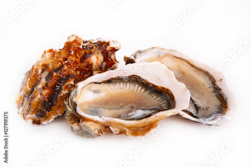 oyster isolated on white