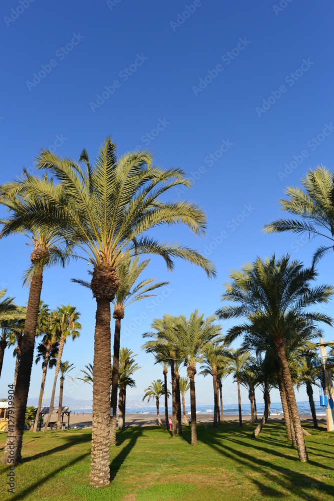 Torremolinos - Provinz Malaga an der Costa del Sol