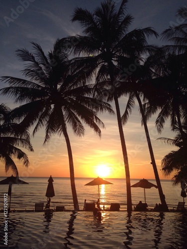 tropical sunset landscape