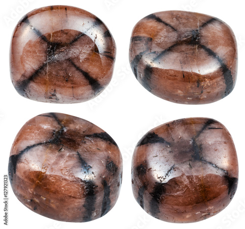 set of various Chiastolite (Andalusite) minerals