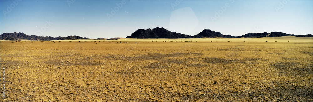 wüstensteppe panorama