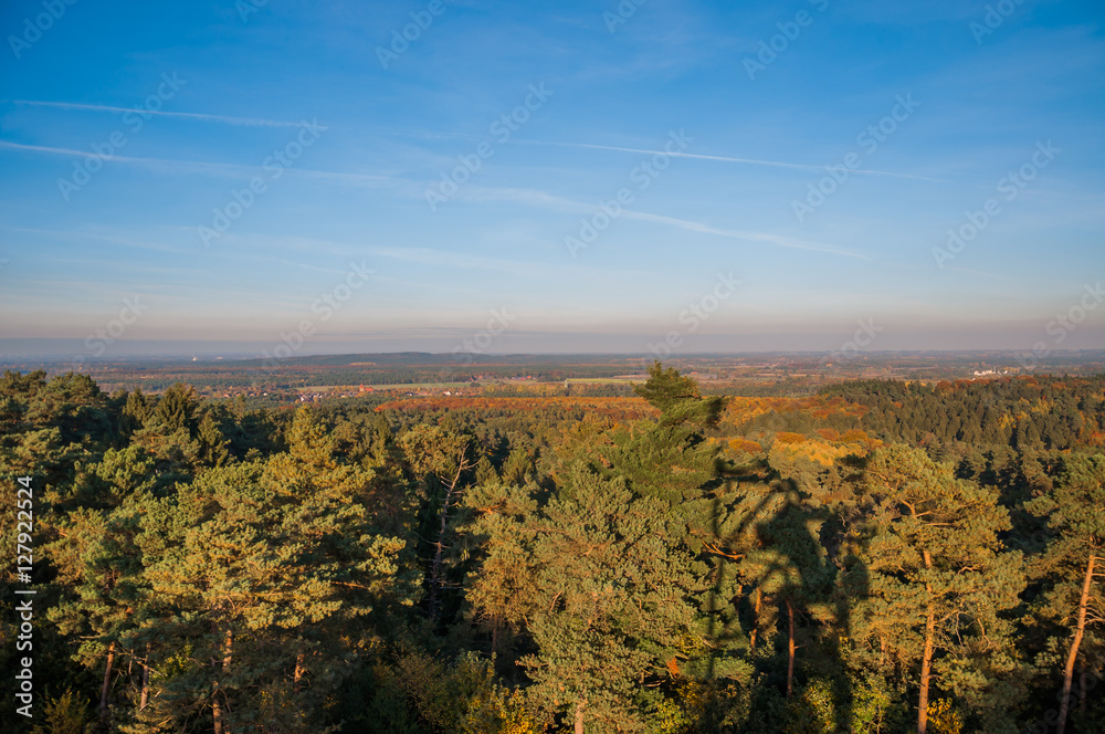 Obraz premium Herbst in der Haard