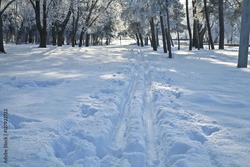 snowy, frosty landscape snowy, frosty landscape