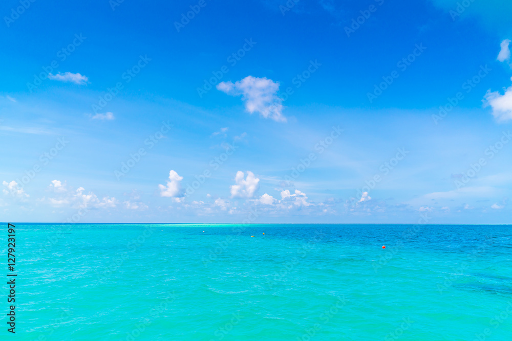 Fototapeta premium Beautiful tropical Maldives island with white sandy beach and se