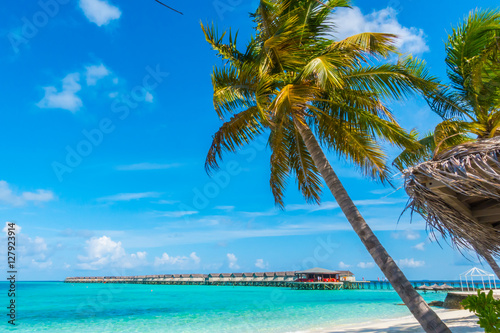 Fototapeta Naklejka Na Ścianę i Meble -  Beautiful tropical Maldives island, white sandy beach and sea  w