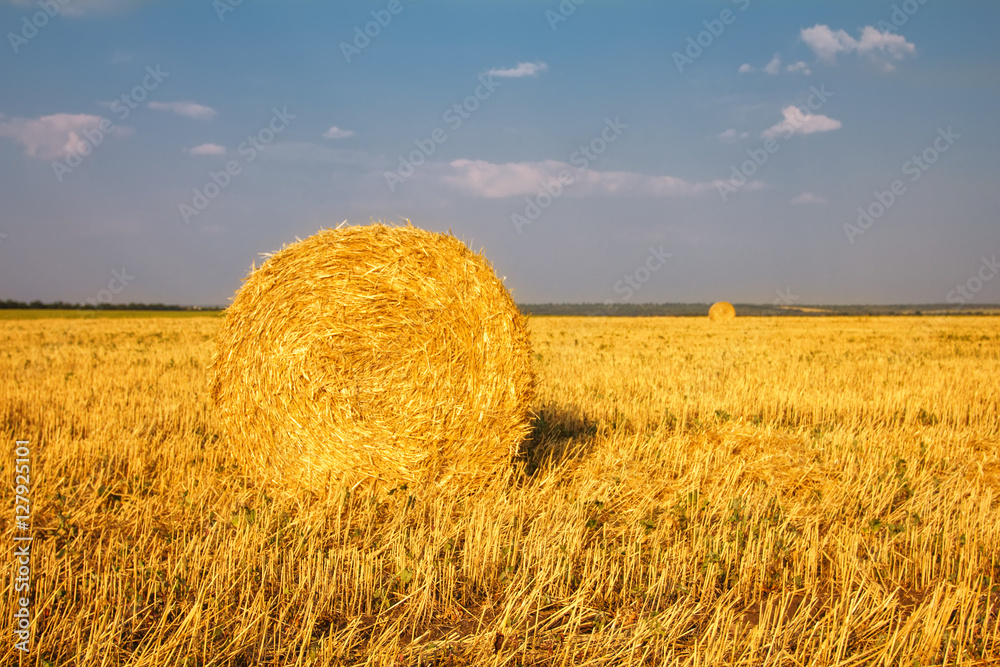 haystack on  field