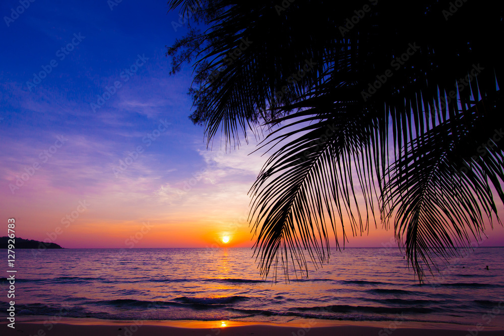 sunset landscape. beach sunset.  palm trees silhouette on sunset