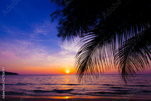 sunset landscape. beach sunset. palm trees silhouette on sunset