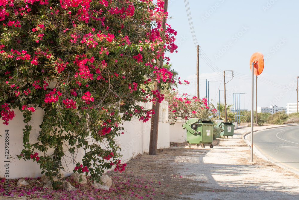 Obraz premium Floral postcard for your design