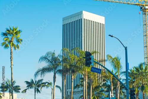 palm trees in Fairfax Avenue photo