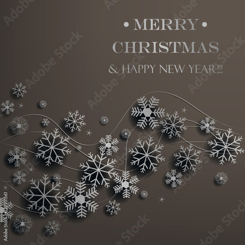 Vector snowflakes