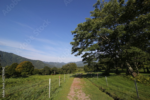 牧場の風景