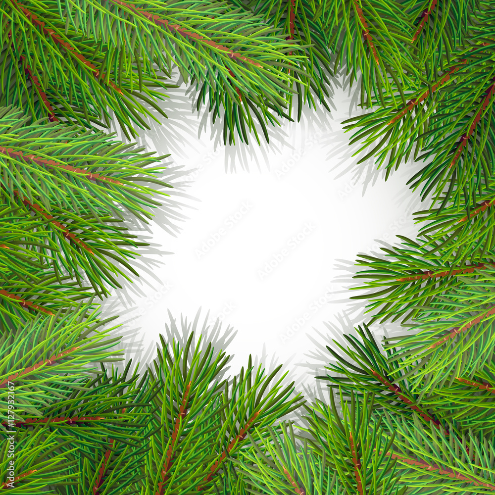 pine tree border background