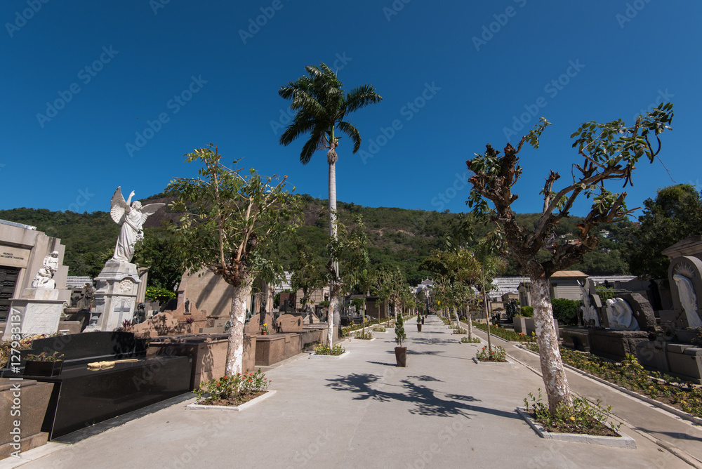 Graves, statues, tombs, and memorial monuments in Saint John the Baptist cemetery in Rio de Janeiro city