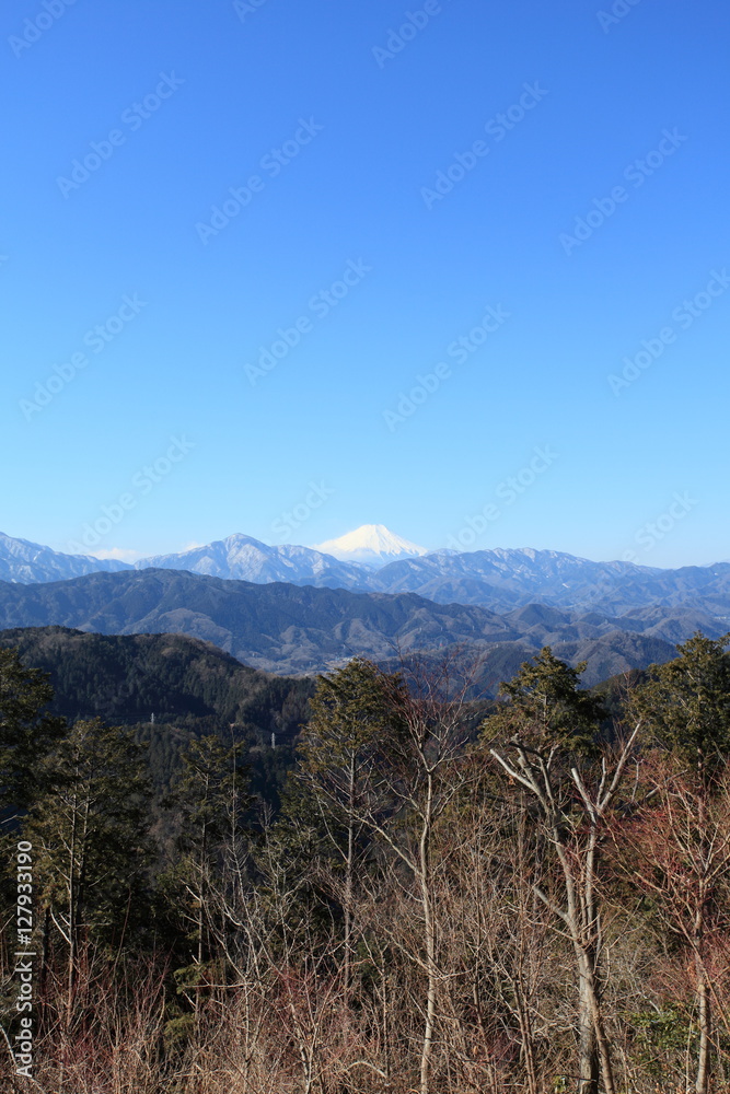 高尾山からの富士山