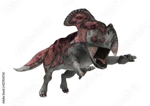 3D Rendering Dinosaur Protoceratops on White photo