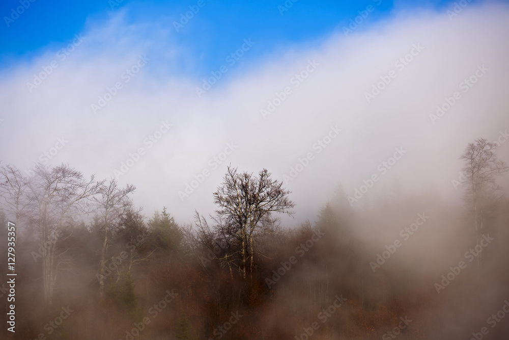 Landscape with clouds and mist over hills covered in forests in