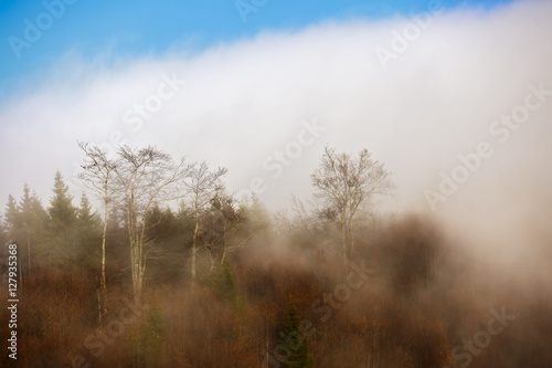 Landscape with clouds and mist over hills covered in forests in