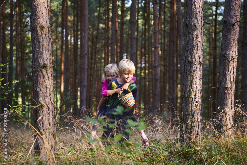 Young child boy (brother) giving his sister piggyback outdoors in the forest. Children summer activities. Young child boy (brother) giving his sister piggyback outdoors in the forest. Children summer activities.