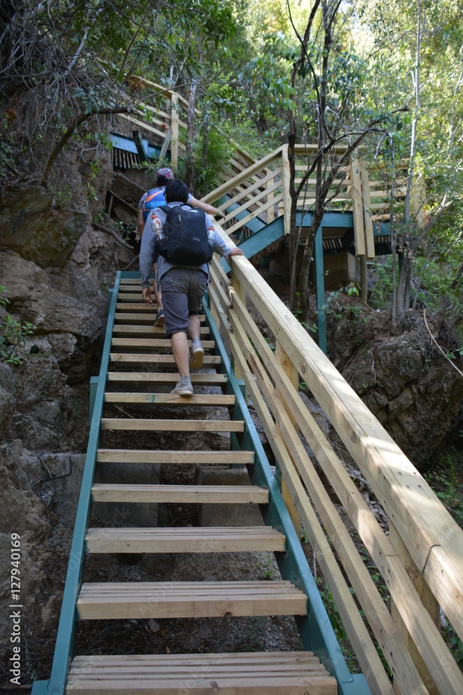wooden staircase at a national park in Chile